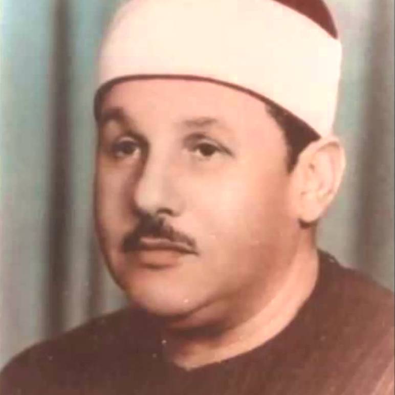 محمود علي البنا